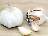 Garlic for Mosquito Control 