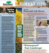Timely Tips Fall Winter 2011