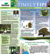 Timely Tips Spring Summer 2011
