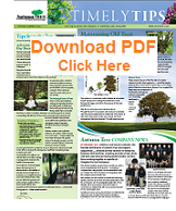 Timely Tips PDF Download 