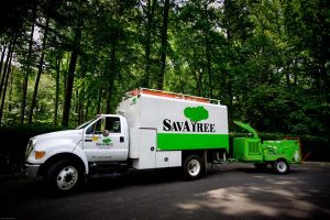 Tree Care Truck