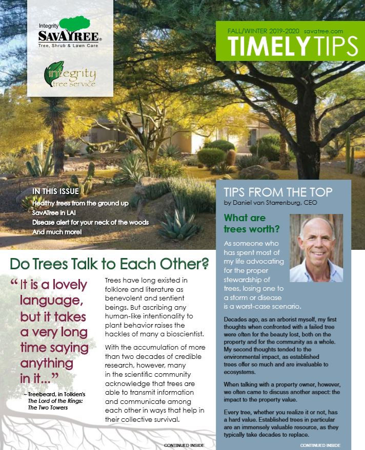 Timely Tips Fall 2019 Arizona Cover