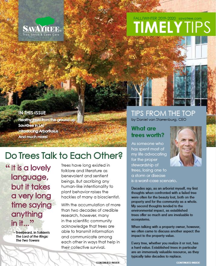 Commercial Timely Tips Fall 2019 Cover