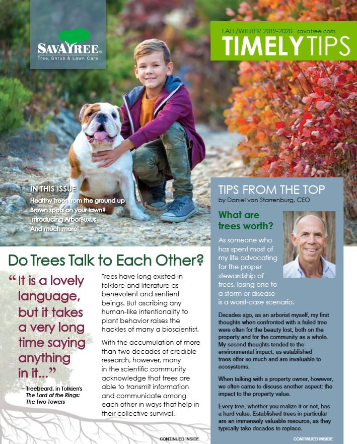GA Residential Timely Tips Fall 2019 Cover