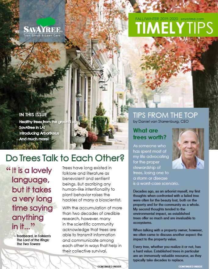 Urban Timely Tips Fall 2019 Cover