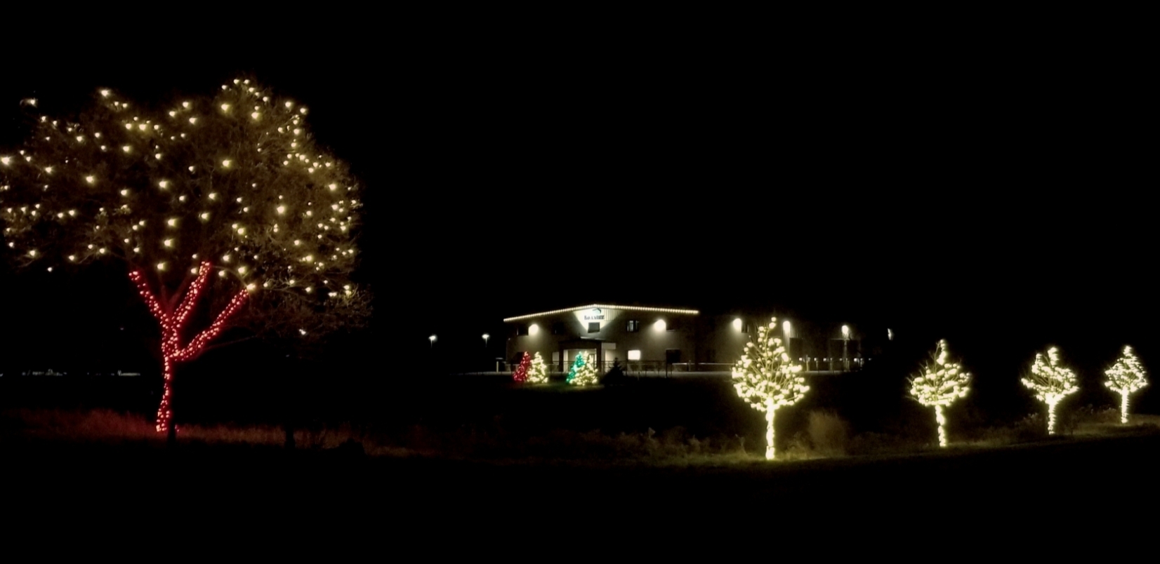North Oaks, MN Holiday Lighting