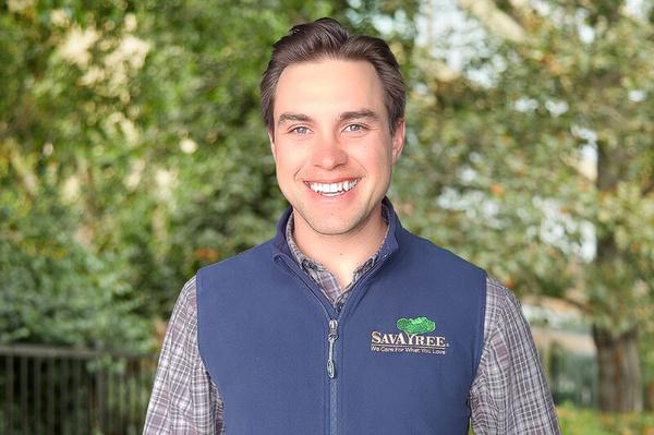 Jintsqva Tree Certified Arborist Tree Services in Steamboat Springs, CO | SavATree