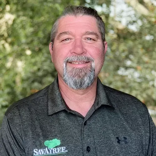 Headshot of ISA Certified Arborist Brian McLaughlin