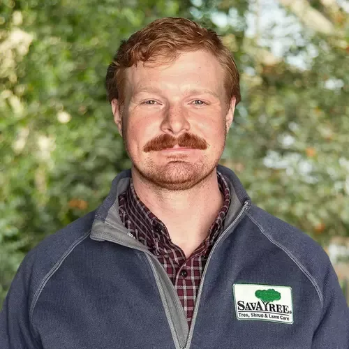 Headshot of ISA Certified Arborist Brigham Cardon