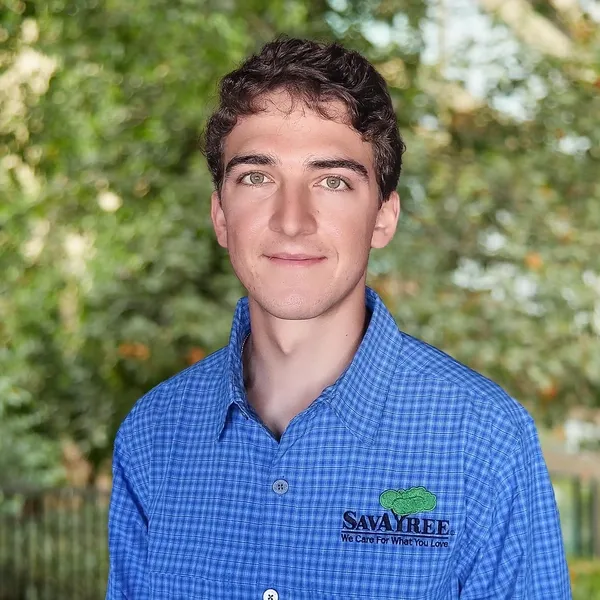 Headshot of SavATree Arborist Calvin Carlson