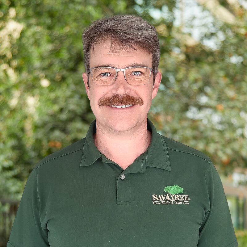 Headshot of SavATree Arborist Chris Kelly