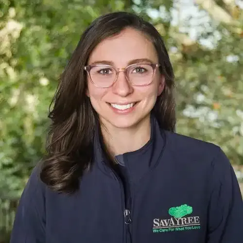 Arborist Colleen Cooke
