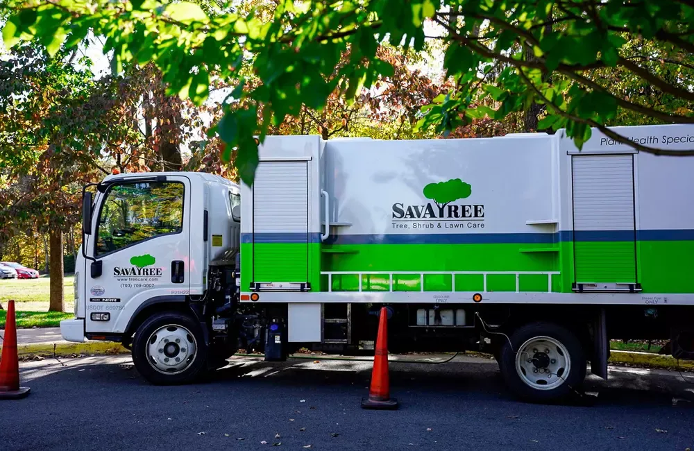 Savatree truck Deep Root Fertilization for Trees