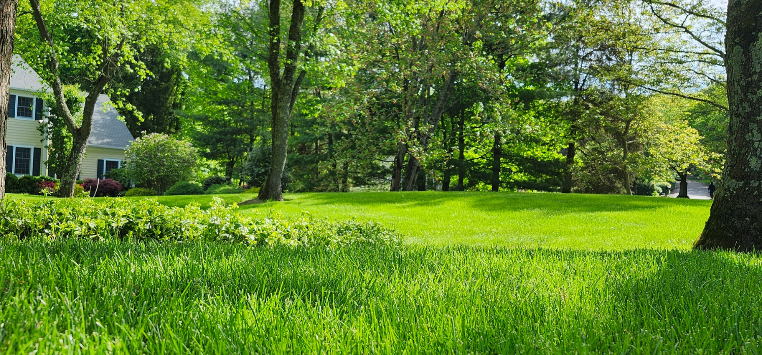 SavATree Named a Forbes Home Top 10 Lawn Care Service Company for Third Consecutive Year