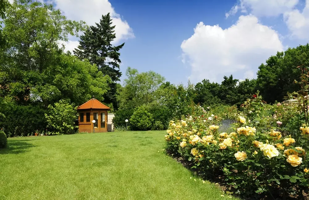 The Wall Street Journal Features SavATree Expert on Urban Tree Care