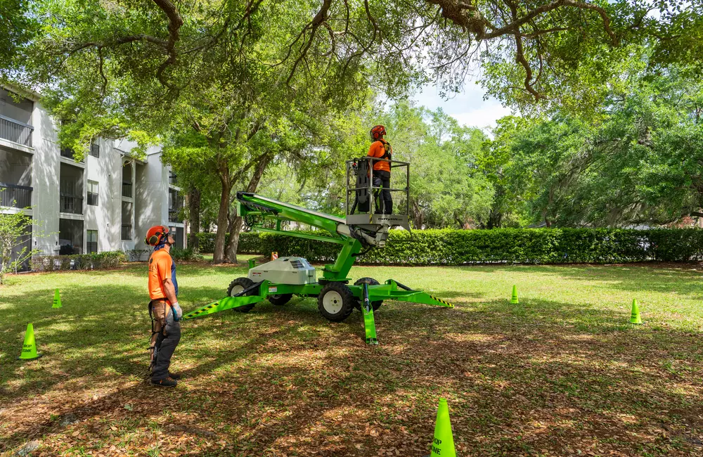 The Hidden ROI of Professional Tree Care for Apartment Communities