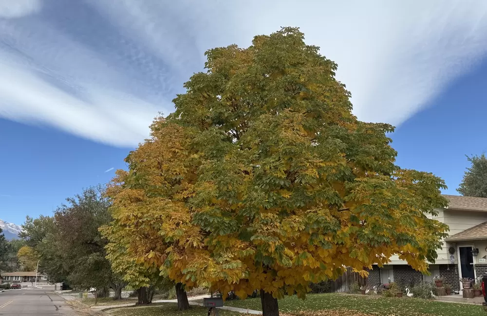 Summer Stress Isn't Over: Here's What to Watch for This Fall