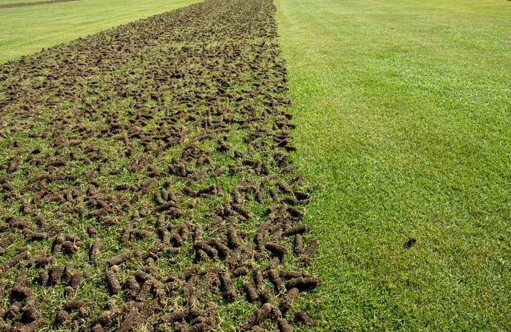 USA Today Features SavATree Expert on Fall Lawn and Landscape Prep