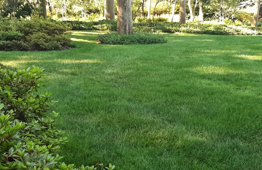 Men's Journal Features SavATree Expert on Soil pH and Lawn Health