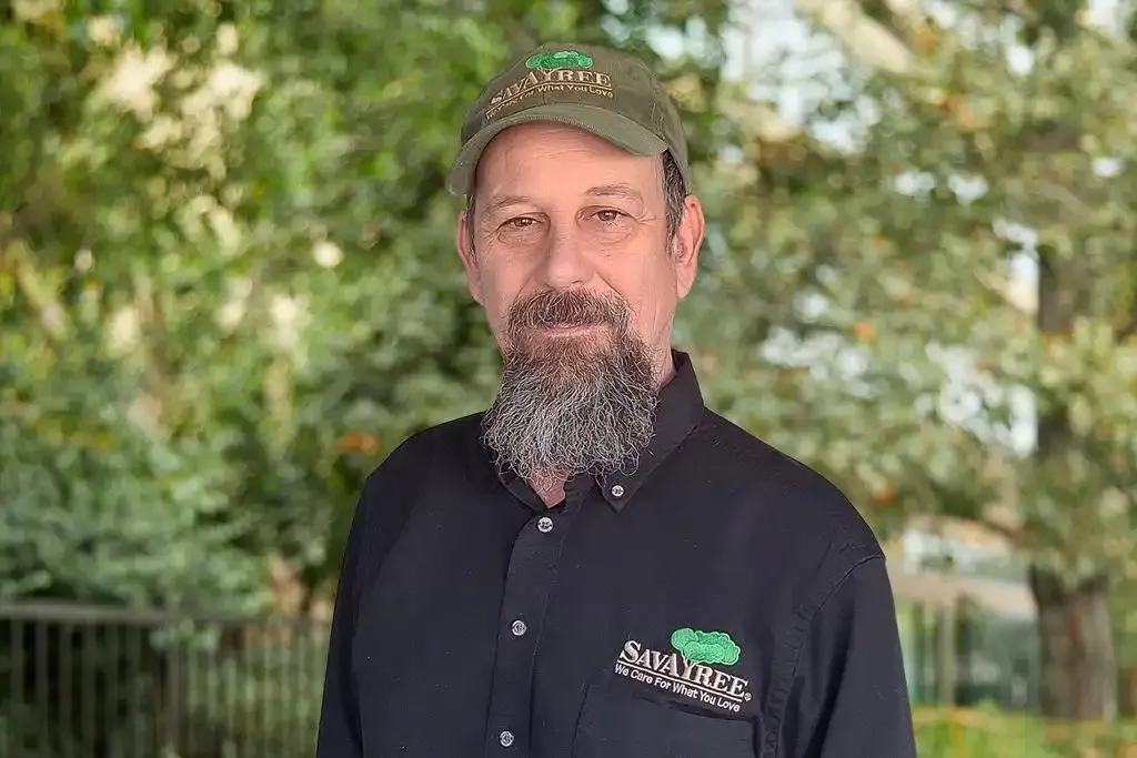 Headshot of SavATree Arborist Joe Ciarametaro