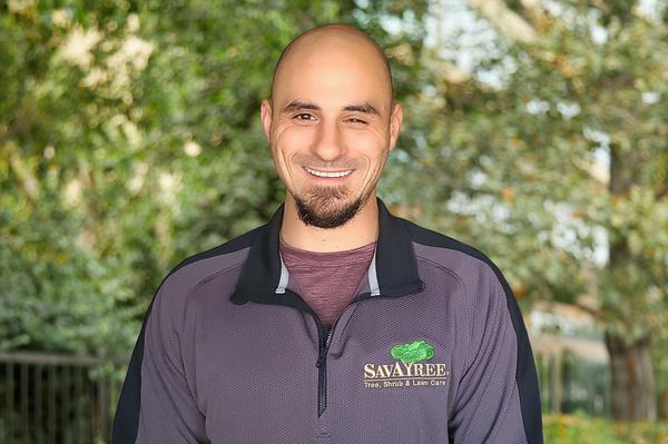 Headshot of SavATree Arborist John Crocello
