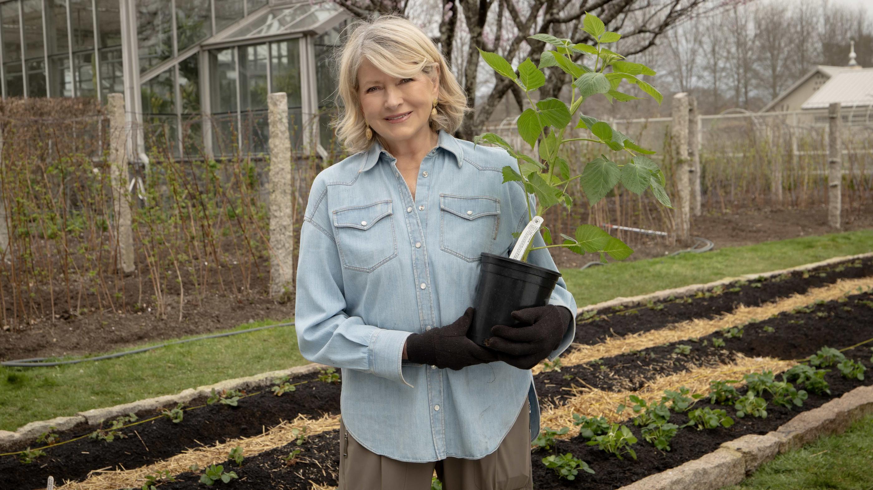 Martha Stewart's Month-by-Month Spring Landscape Guide