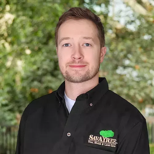 Headshot of ISA Certified Arborist Mitchell Novitsky