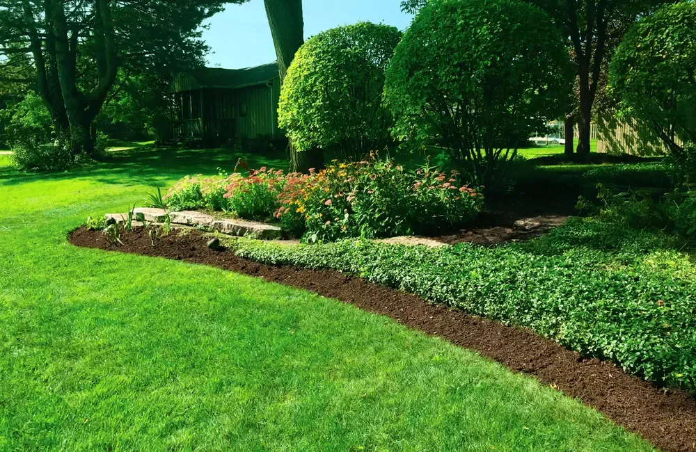 SavATree & The Mulch Center Partner Together to Solve a Problem