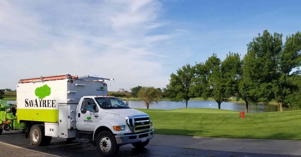 SavATree's commercial tree service on site