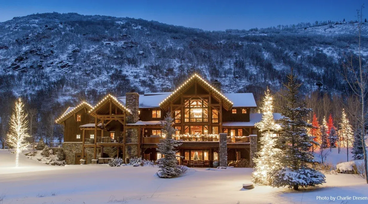 Light Up Your Landscape: A Guide to Safe Holiday Tree & Shrub Lighting