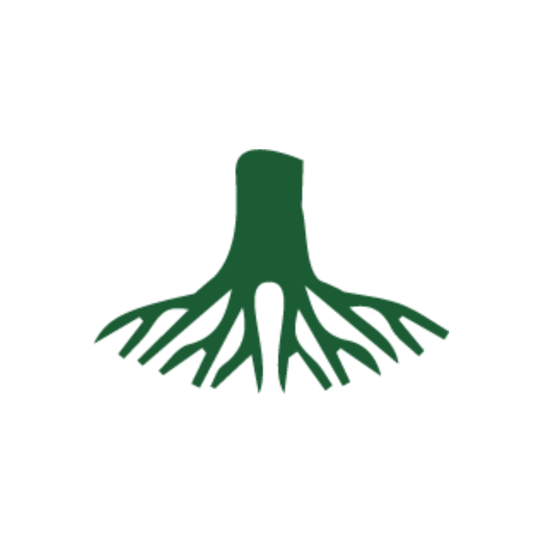 Certified Arborist-Led Teams