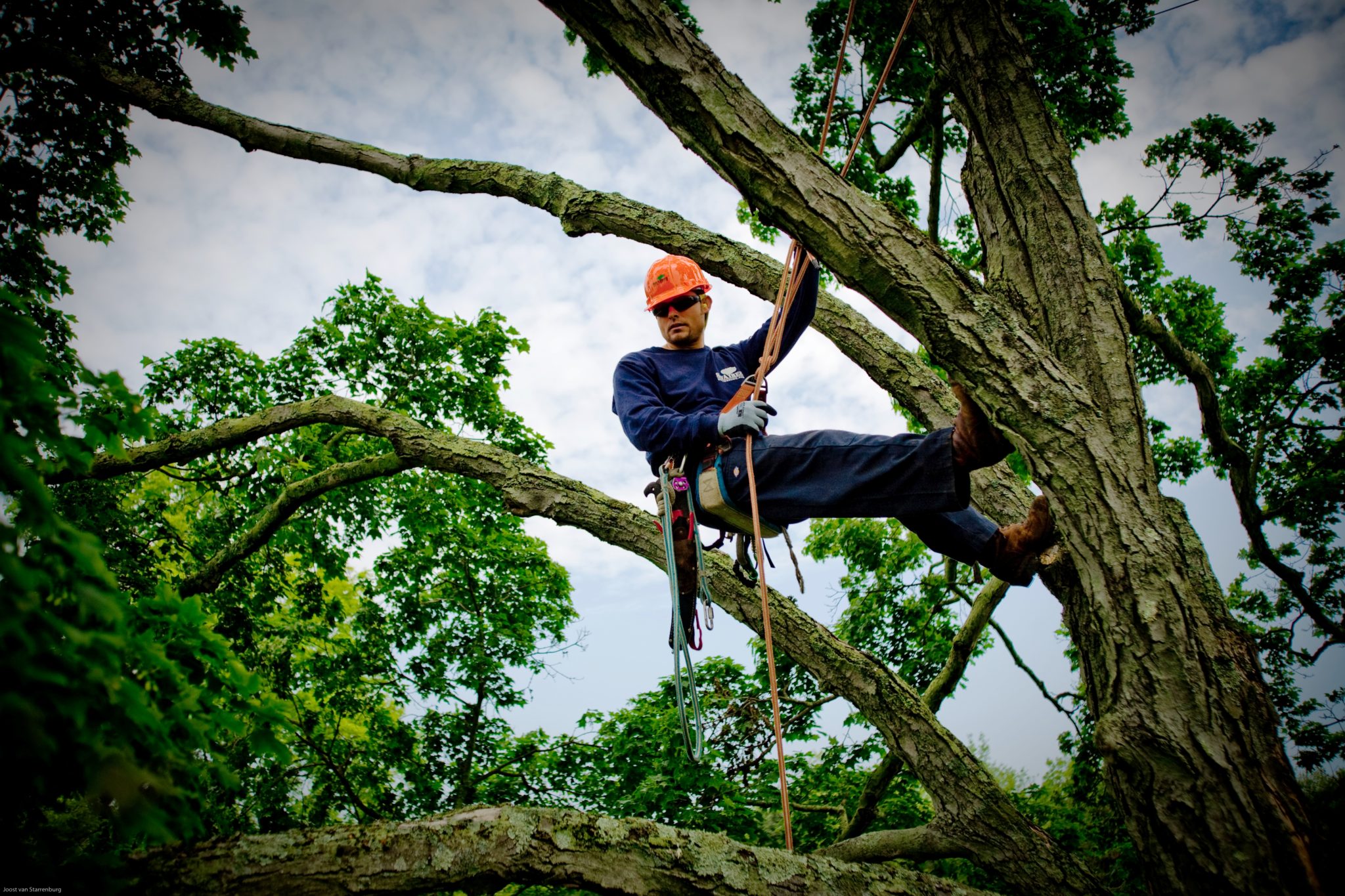 Tree Climbing Competition! - SavATree