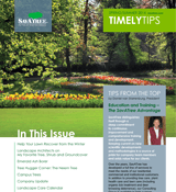 Timely Tips Spring Summer 2014