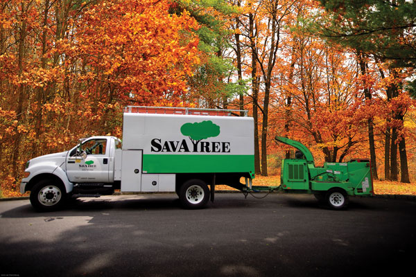 Tree and Lawn Services