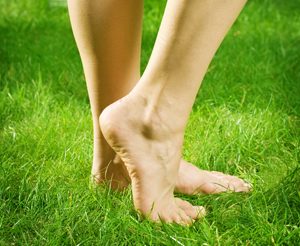 Bare Feet in Grass