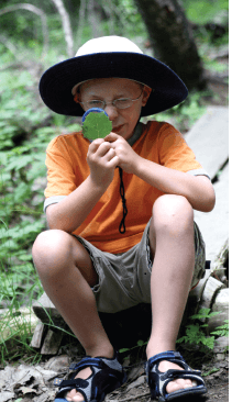 Kid with Glasses Observing Trees