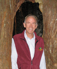 Daniel Van Starrenberg in a Tree 