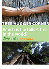 Tree Hugger Corner 