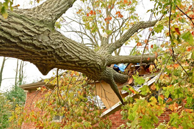 Hurricane Sandy Damage 