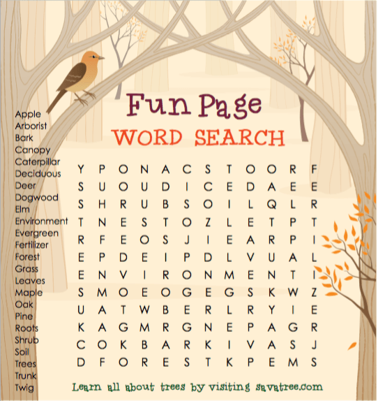 Word Search for Children 