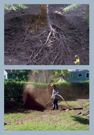 Root zone excavation
