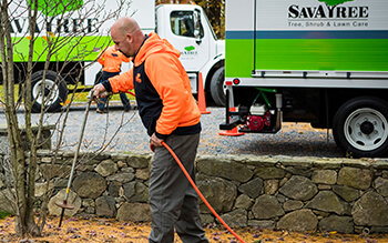 Tree Service and Lawn Care Career