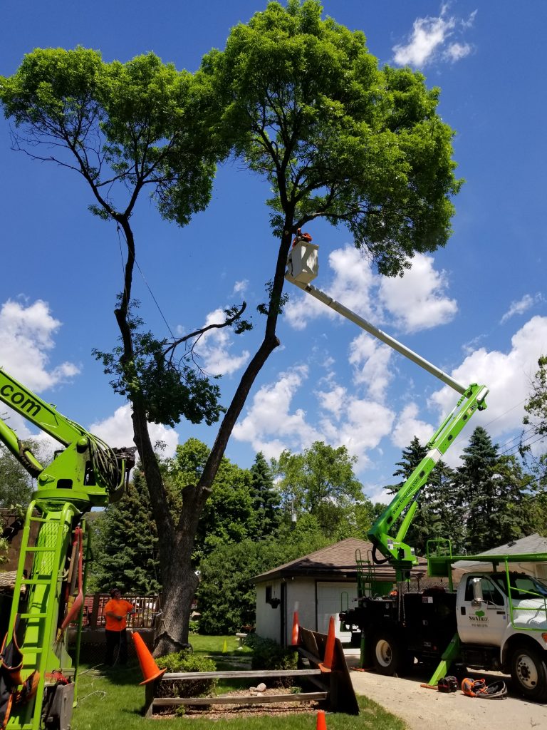 Columbia Heights MN Tree Trimming