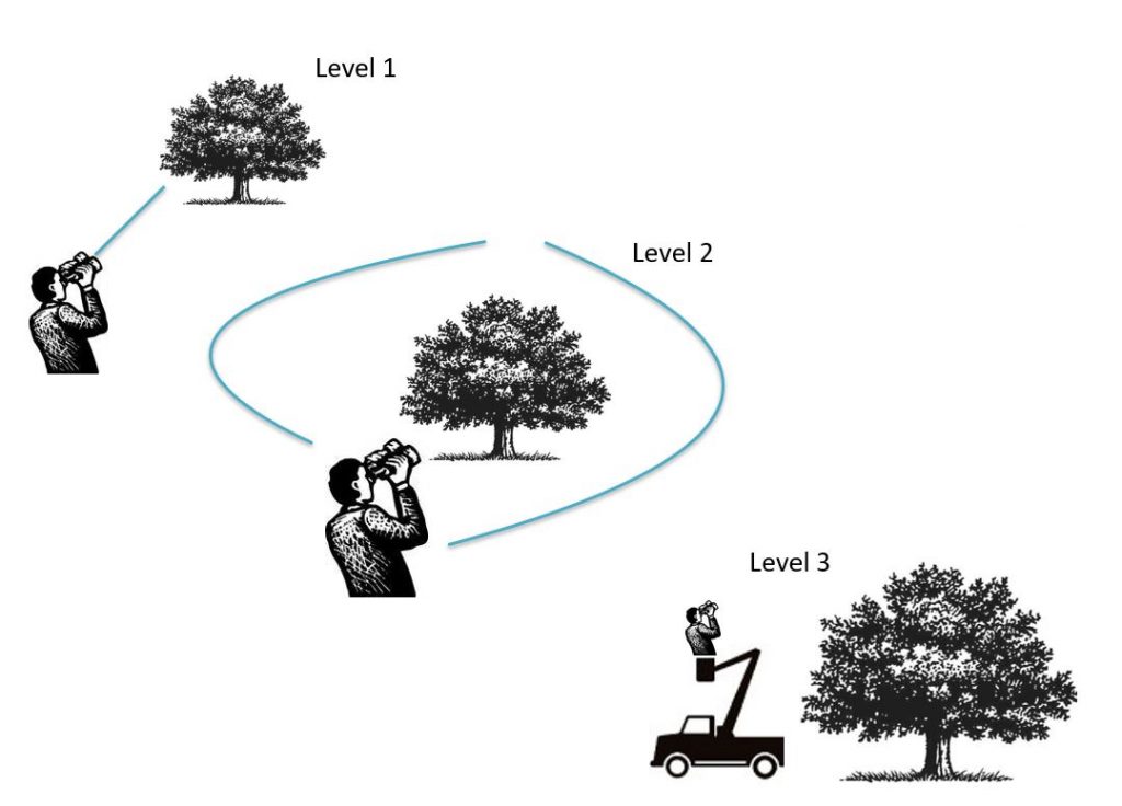tree risk assessment levels chart