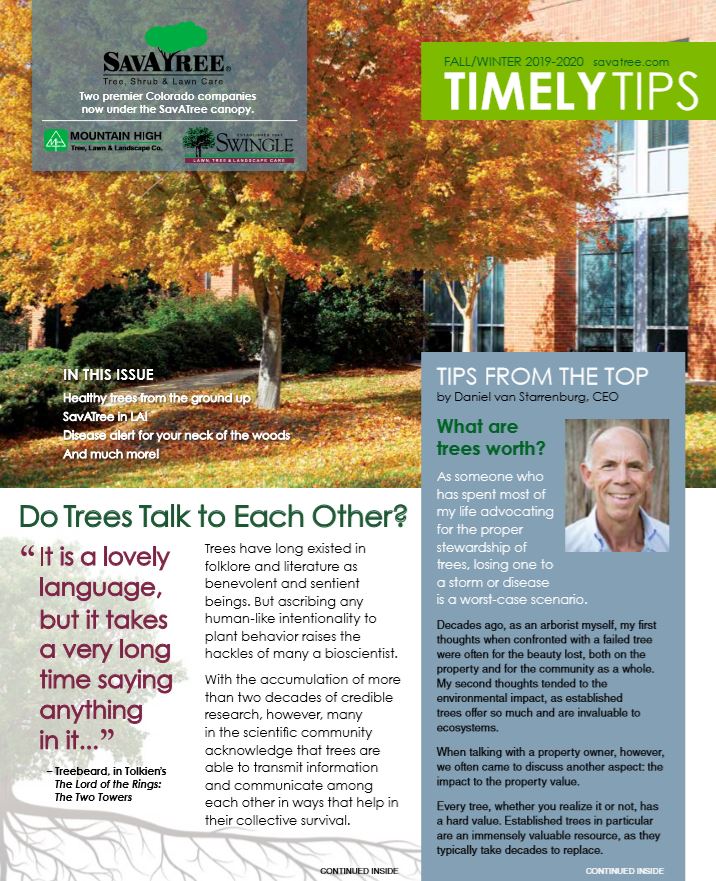 Colorado Commercial Timely Tips Fall 2019 Cover