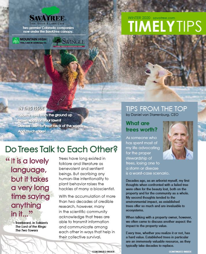 Timely Tips Fall 2019 Cover CO Residential