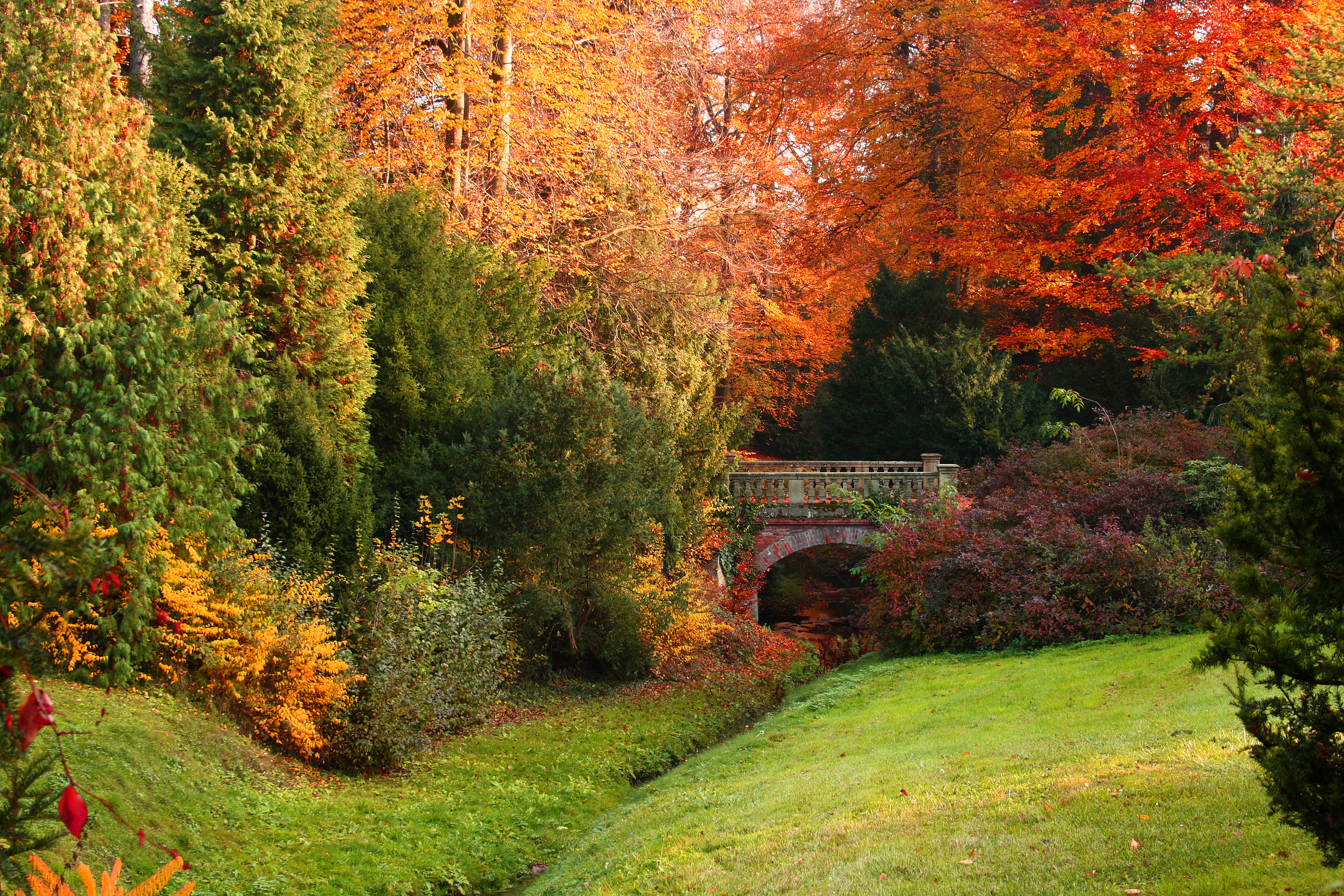 beautiful fall landscape with bridge
