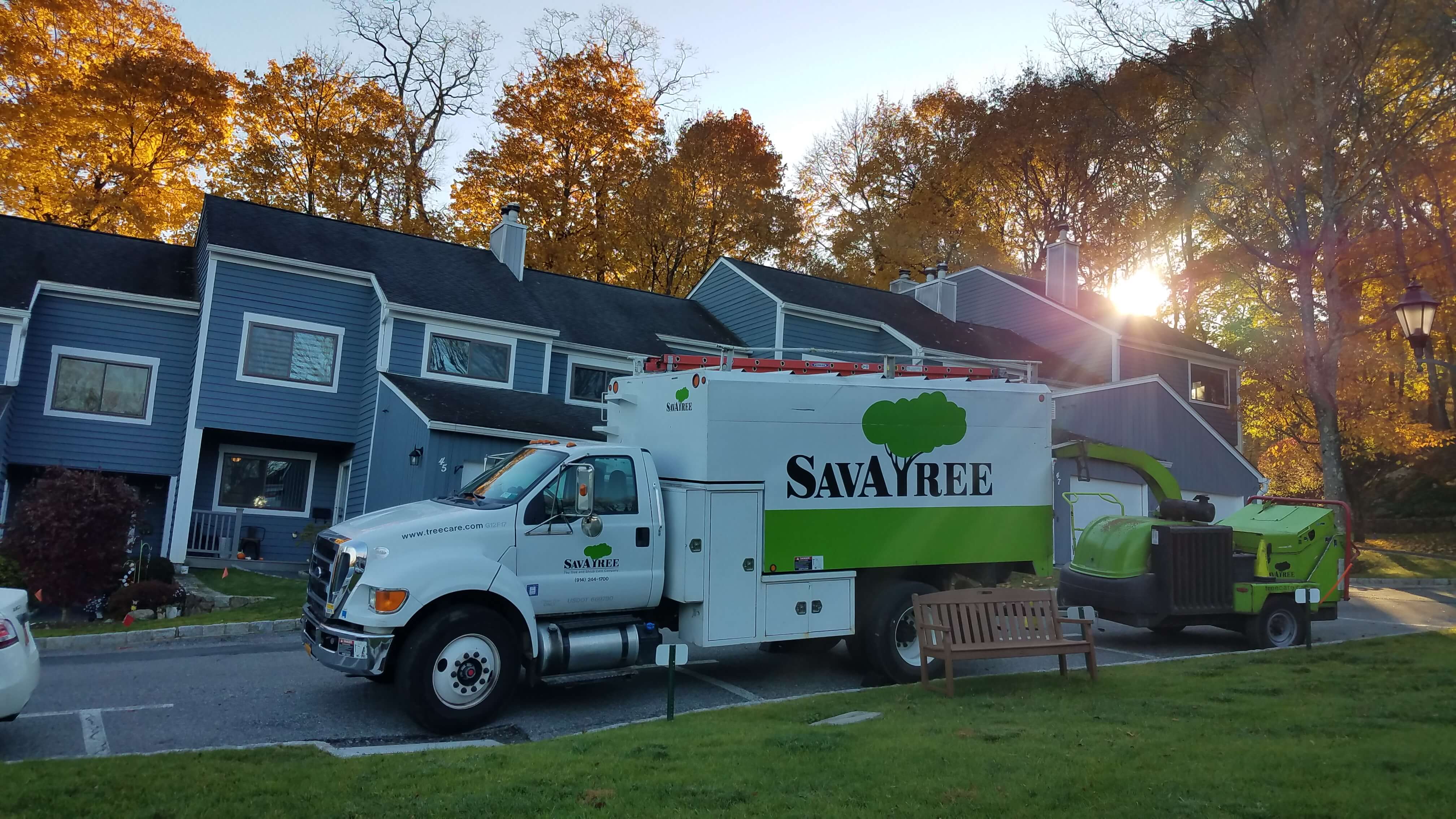 SavATree - Tree Service & Lawn Care